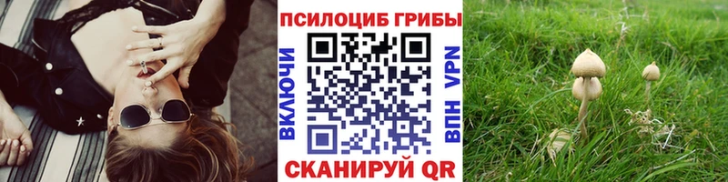 Псилоцибиновые грибы Magic Shrooms Мантурово